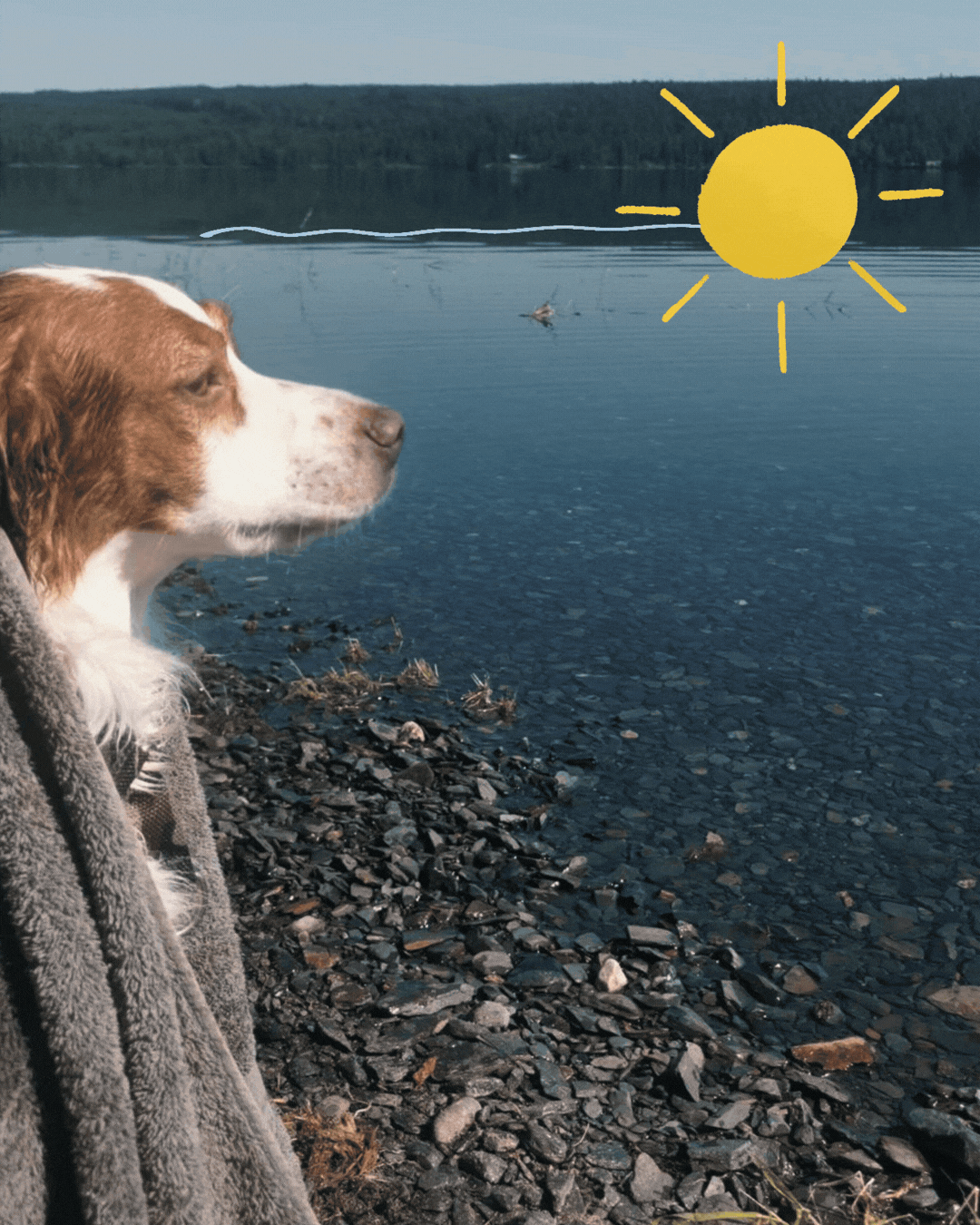 En annan favorit är att bada. Dock är vattnet i Flåsjön sällan speciellt varmt, men det gör inte Doris så mycket.
